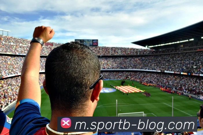 B体育APP 封面图